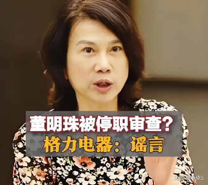 董明珠停职审查事件的深入分析，格力电器何以应对舆论压力？_格力辟谣_格力舆情