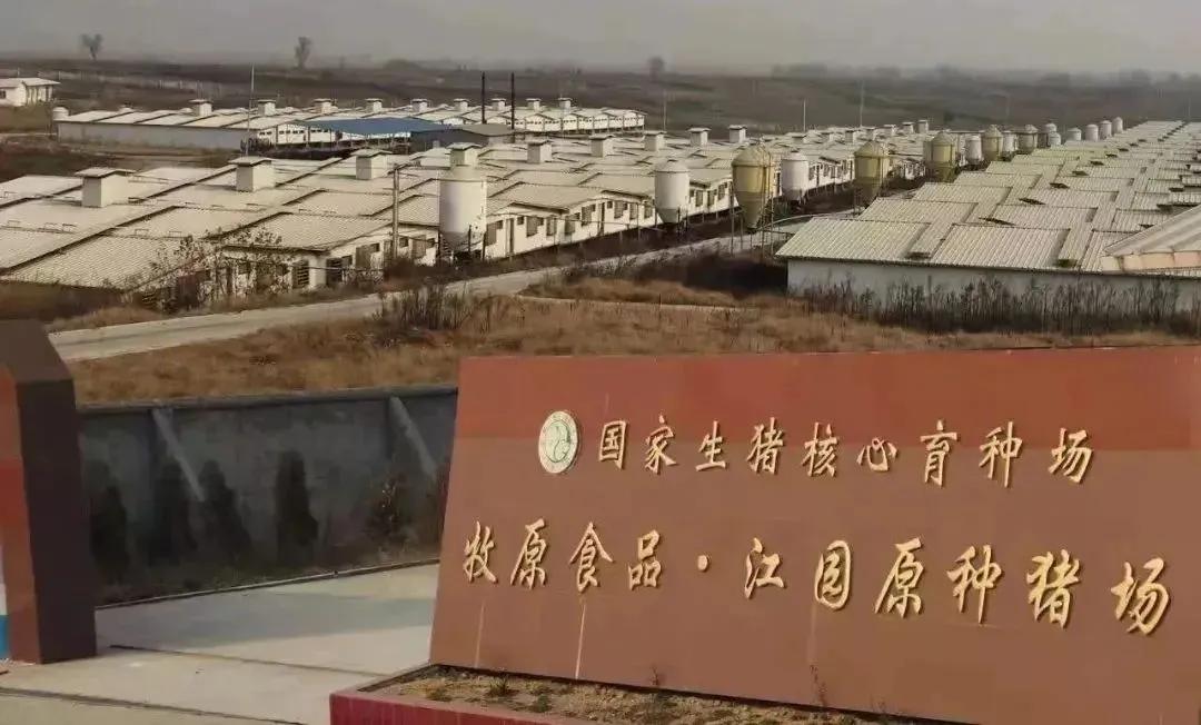 什么是推动企业持续发展的动力_推动企业发展_秦英林如何推动企业的可持续发展