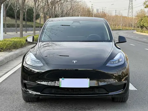 2023款特斯拉Model Y长续航全轮驱动版：家庭出行的环保性能之选