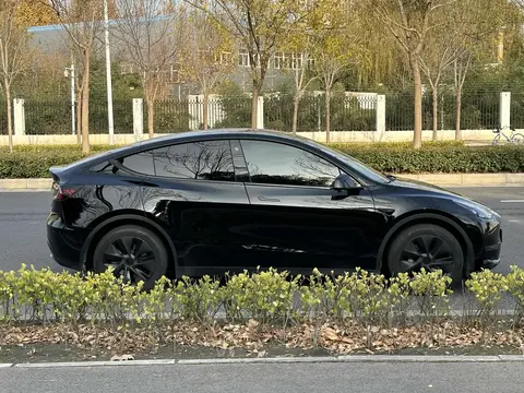 特斯拉Model Y如何满足家庭出行需求？_特斯拉车主要求_特斯拉用车