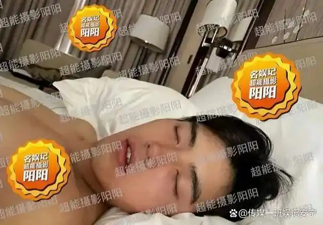 飞宇陈萍_飞宇陈飞宇_陈飞宇