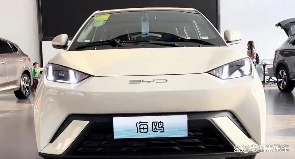 比亚迪海鸥如何满足城市出行的需求_比亚迪海鸥新能源汽车_海鸥汽车服务公司